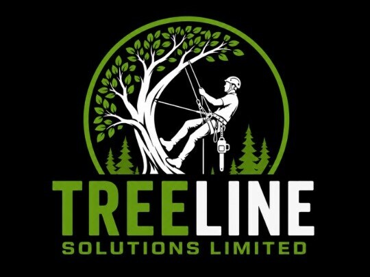 Tree Line Solutions Limited in Treherbert